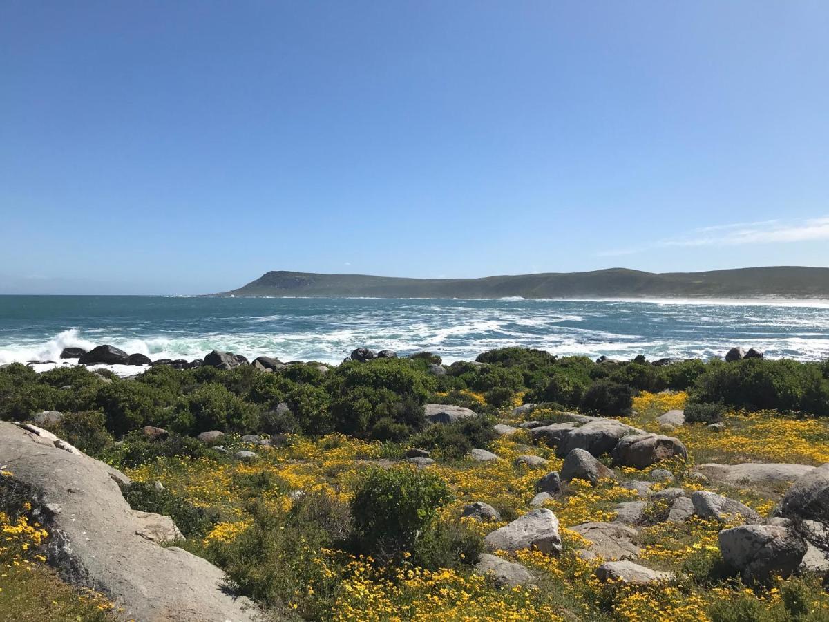 Villa La Maison Bleue, Luxury Self-catering Villa. Langebaan